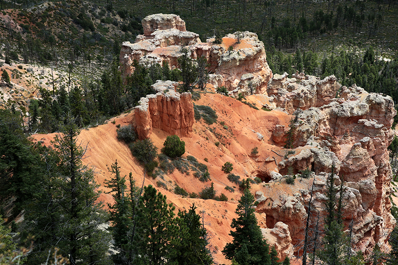 Bryce Canyon : Utah : Landscape Photos : Richard Moore : Photographer